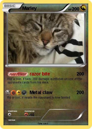 Pokemon Marley