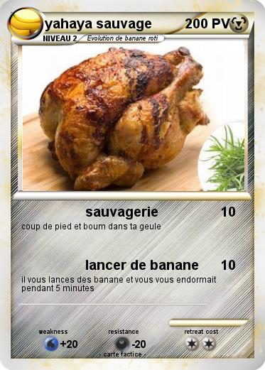 Pokemon yahaya sauvage