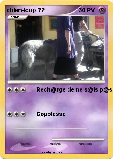 Pokemon chien-loup ??