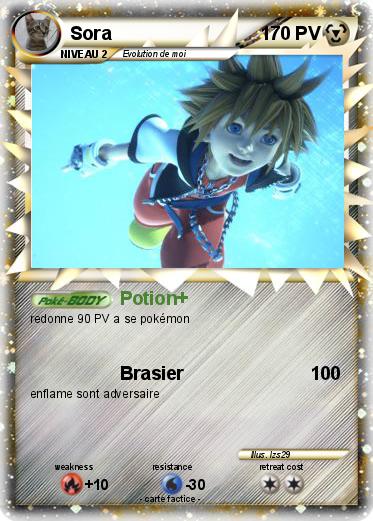 Pokemon Sora