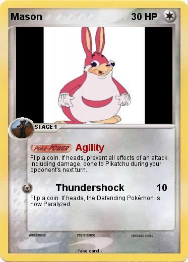 Pokemon Mason