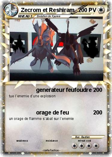 Pokemon Zecrom et Reshiram