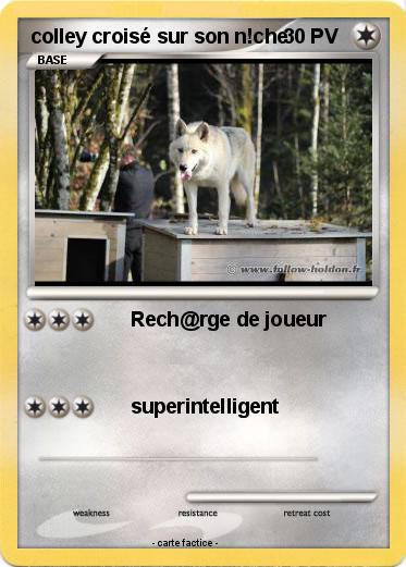 Pokemon colley croisé sur son n!che