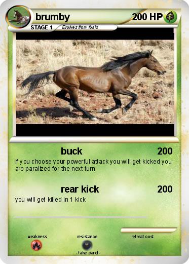 Pokemon brumby