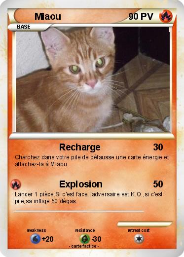 Pokemon Miaou