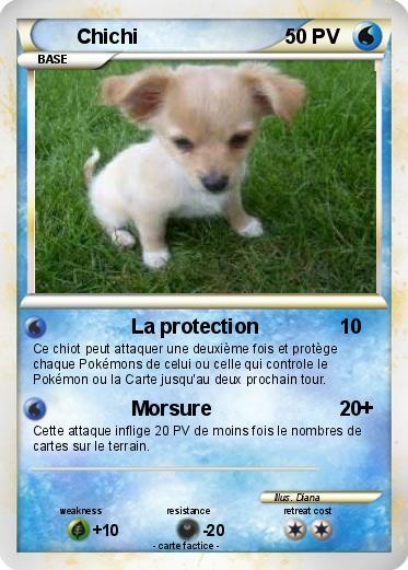 Pokemon Chichi