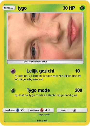 Pokemon tygo