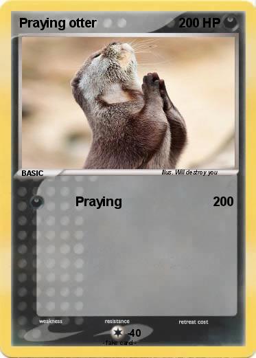 Pokemon Praying otter