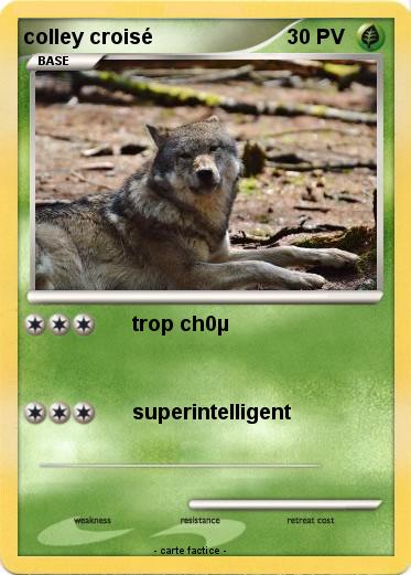 Pokemon colley croisé