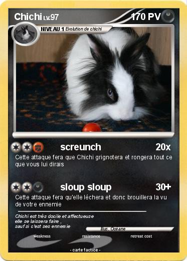 Pokemon Chichi