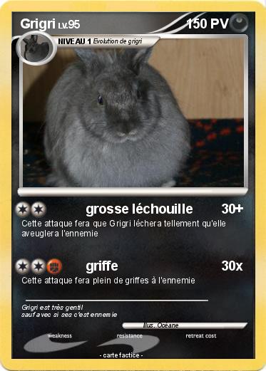Pokemon Grigri