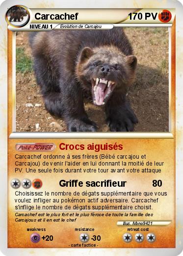 Pokemon Carcachef
