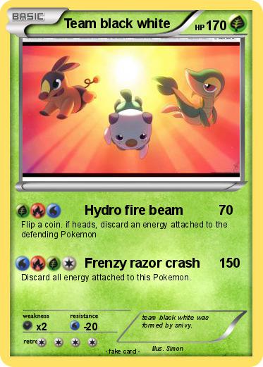 Pokemon Team black white