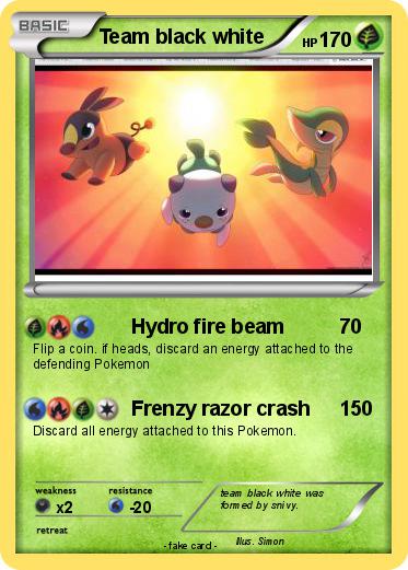 Pokemon Team black white