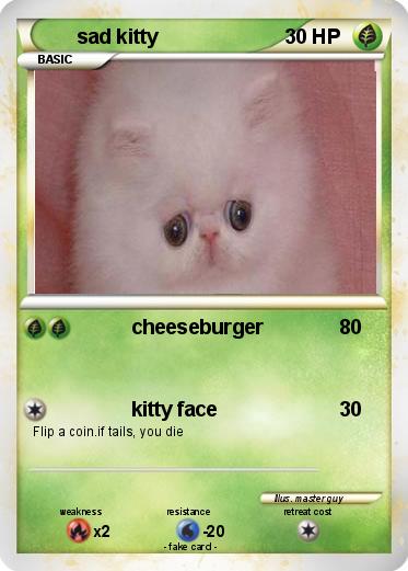 Pokemon sad kitty