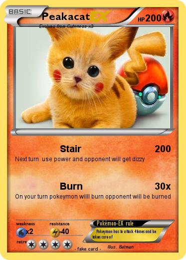 Pokemon Peakacat