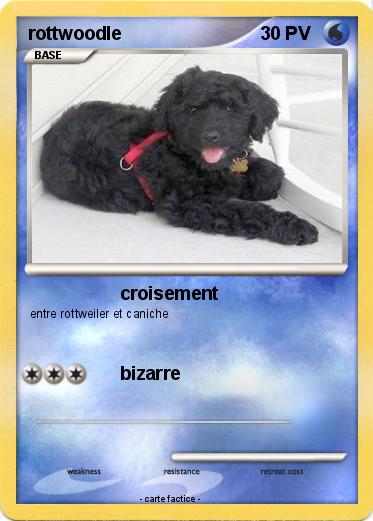 Pokemon rottwoodle