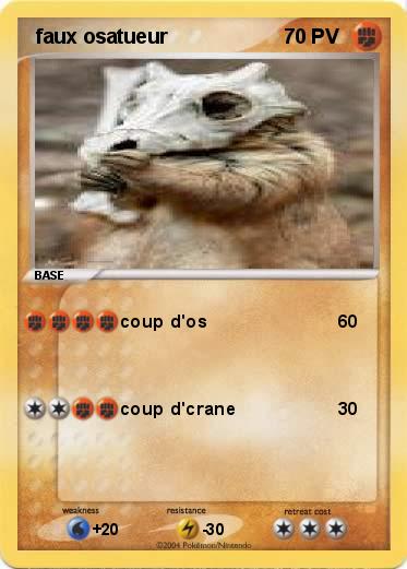 Pokemon  faux osatueur