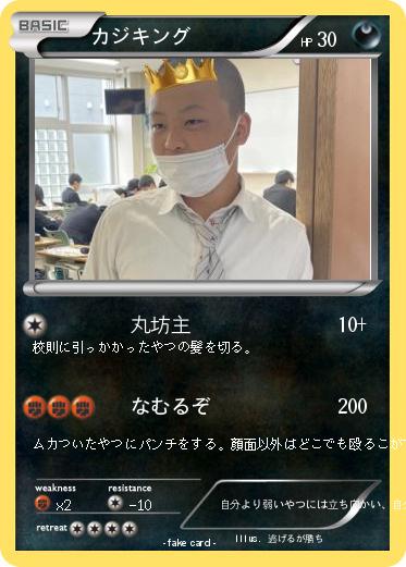 Pokemon カジキング