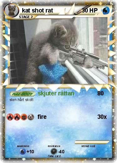 Pokemon kat shot rat