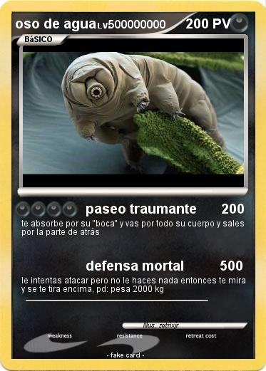 Pokemon oso de agua