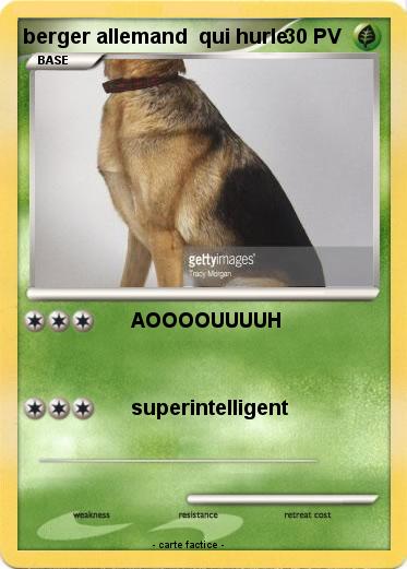 Pokemon berger allemand  qui hurle
