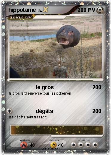 Pokemon hippotame