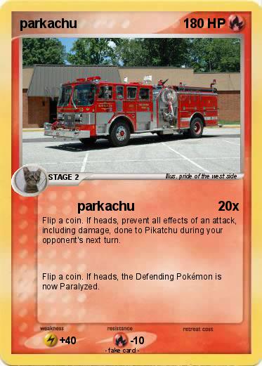 Pokemon parkachu