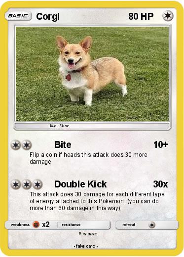 Pokemon Corgi