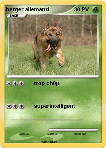 Pokemon berger allemand
