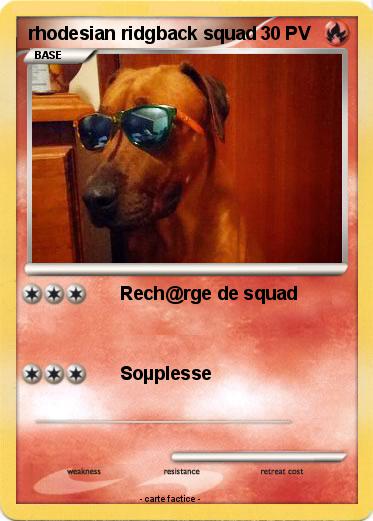 Pokemon rhodesian ridgback squad