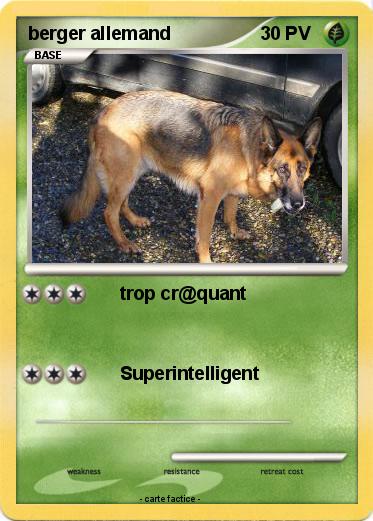 Pokemon berger allemand