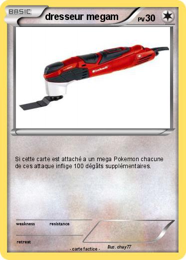Pokemon dresseur megam