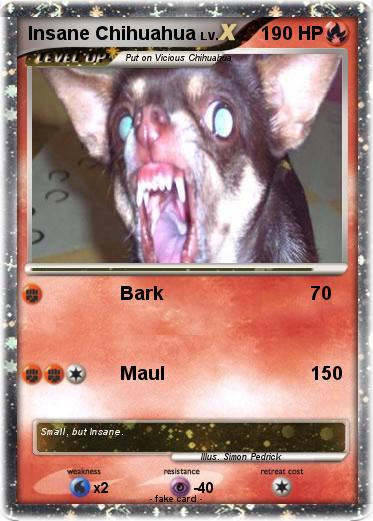 Pokemon Insane Chihuahua