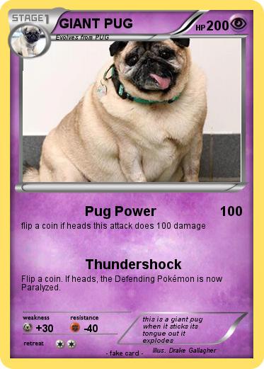 Pokemon GIANT PUG