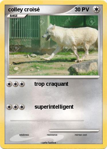 Pokemon colley croisé