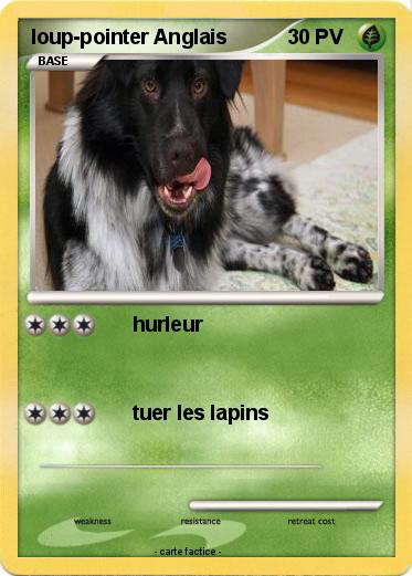 Pokemon loup-pointer Anglais
