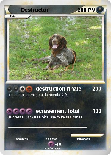 Pokemon Destructor