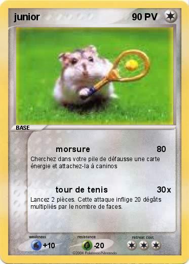 Pokemon junior