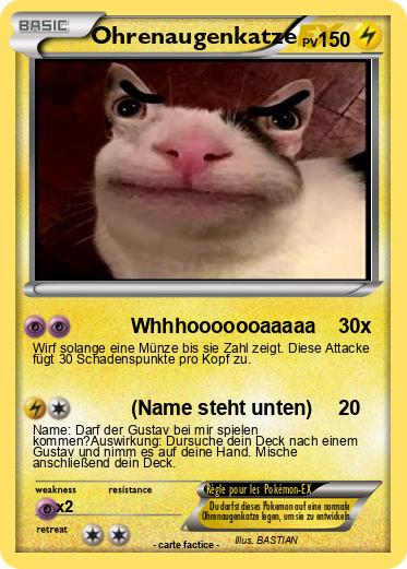 Pokemon Ohrenaugenkatze