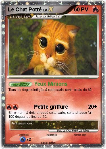 Pokemon Le Chat Potté