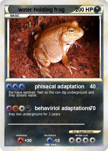 Pokemon water holding frog