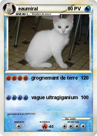 Pokemon eaumiral