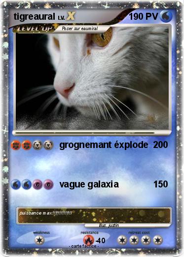 Pokemon tigreaural