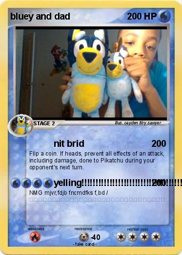 Pokemon bluey and dad