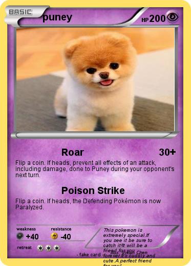 Pokemon puney