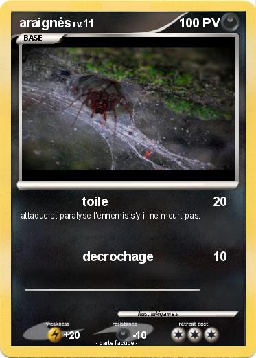 Pokemon araignés