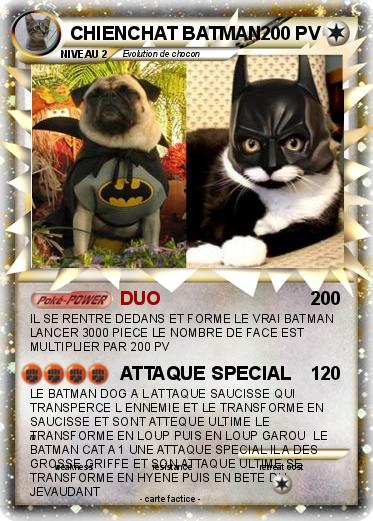 Pokemon CHIENCHAT BATMAN