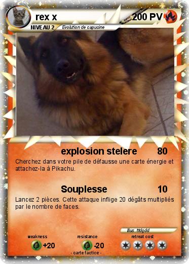 Pokemon rex x