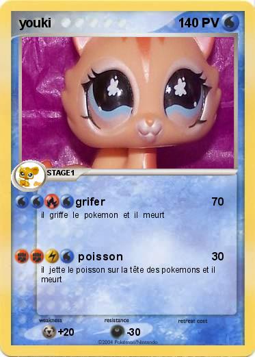 Pokemon youki